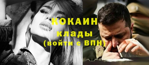 дмт Касимов