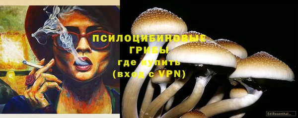 дмт Касимов